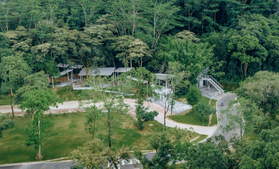 Floating Canopy Grove