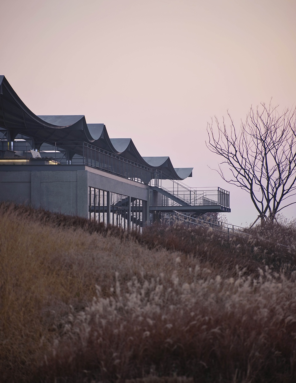 a reborn scenic field above waves by original design studio