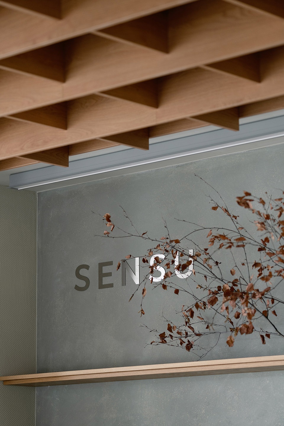 sensu