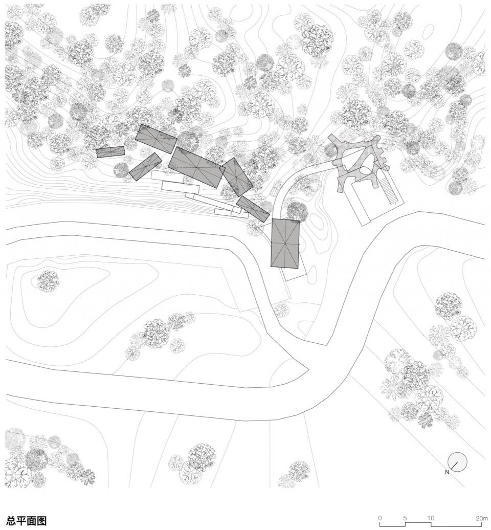 Floating Canopy Grove