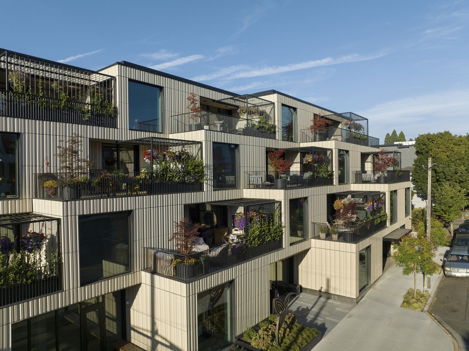 ellen browning building by cameron macallister group