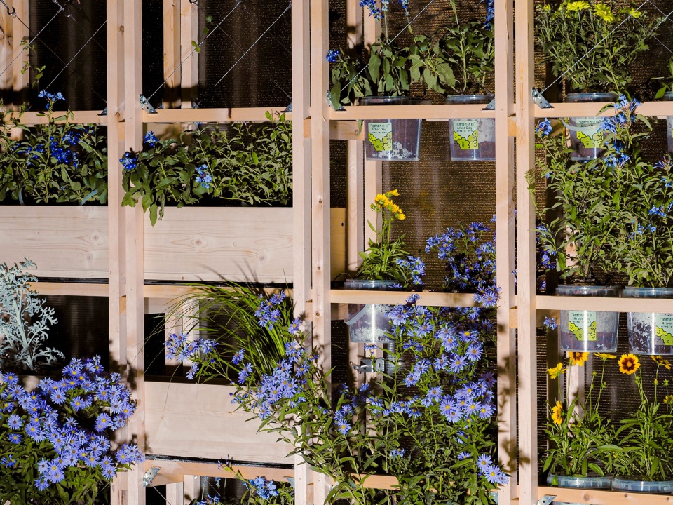 walking plants by atelier folie duan wei studio