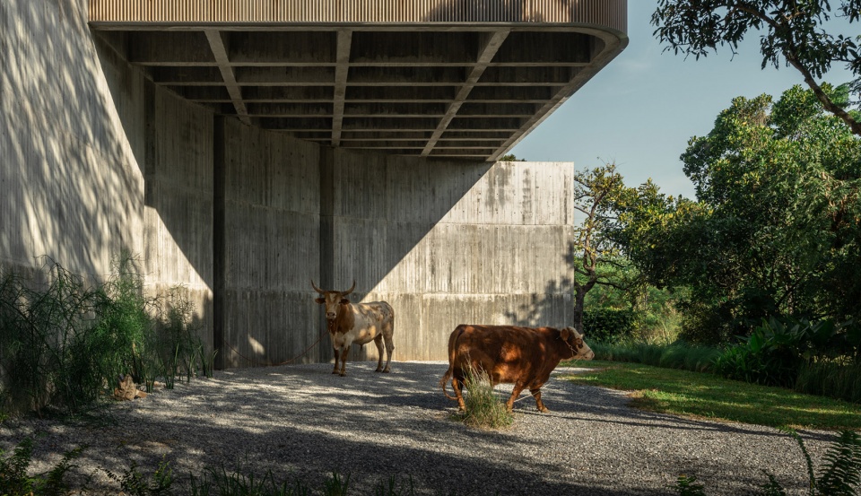 w house ii by idin architects