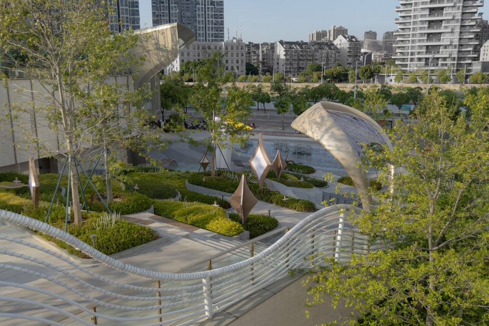 zuohai light year park by waterlily