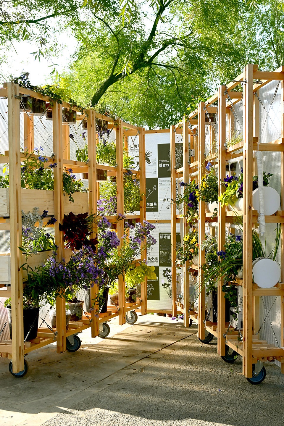 walking plants by atelier folie duan wei studio