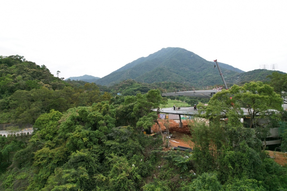 WutongPavilion