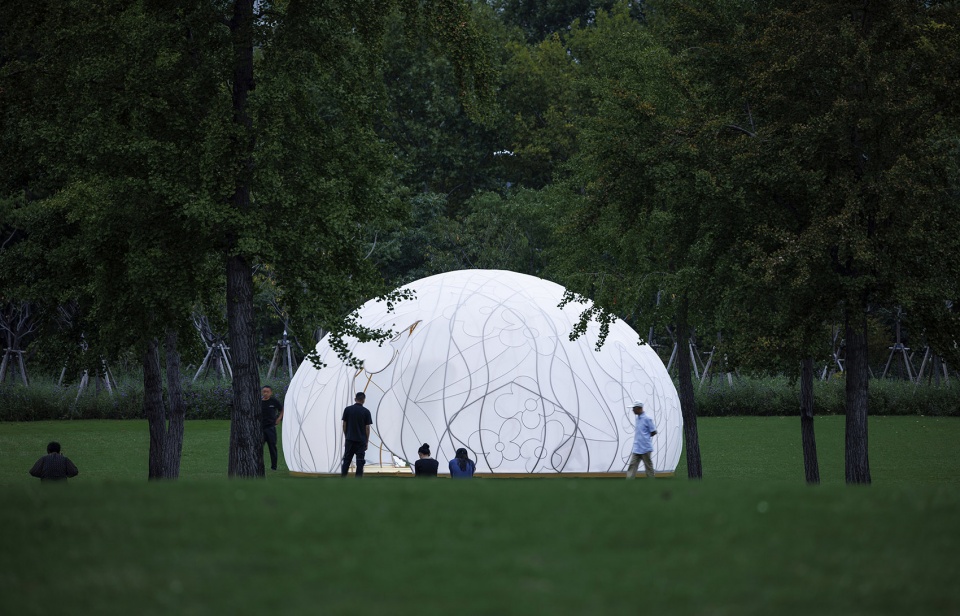 Osmanthus Moon by HCCH Studio