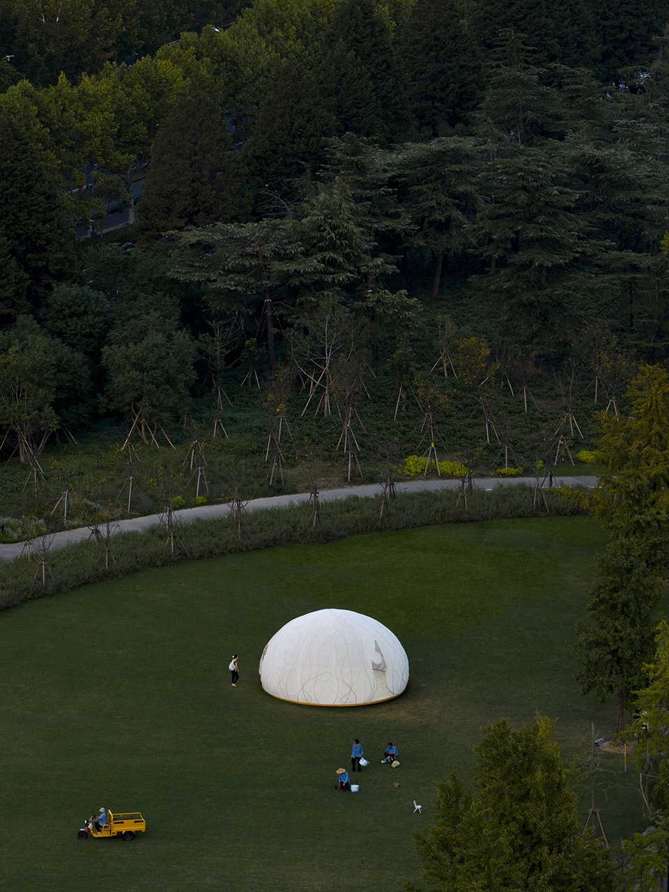 Osmanthus Moon by HCCH Studio