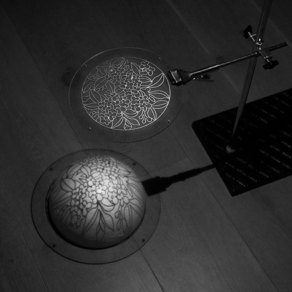 Osmanthus Moon by HCCH Studio