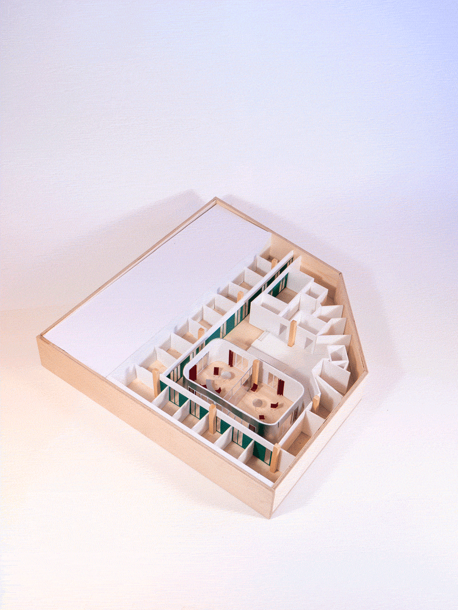SAIER Flexo Arquitectura