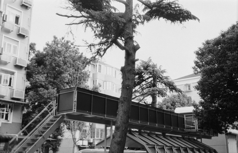 The Butterfly Pavilion