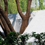 The Lake House美好生活体验馆，上海 / Wutopia Lab