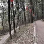 小溪塔森林公园，湖北 / HID翰地景观