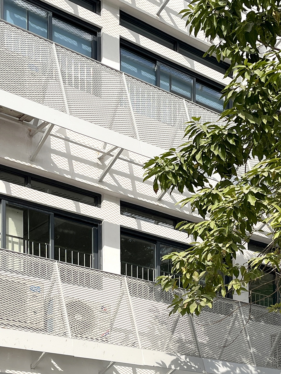 HaibinSchool