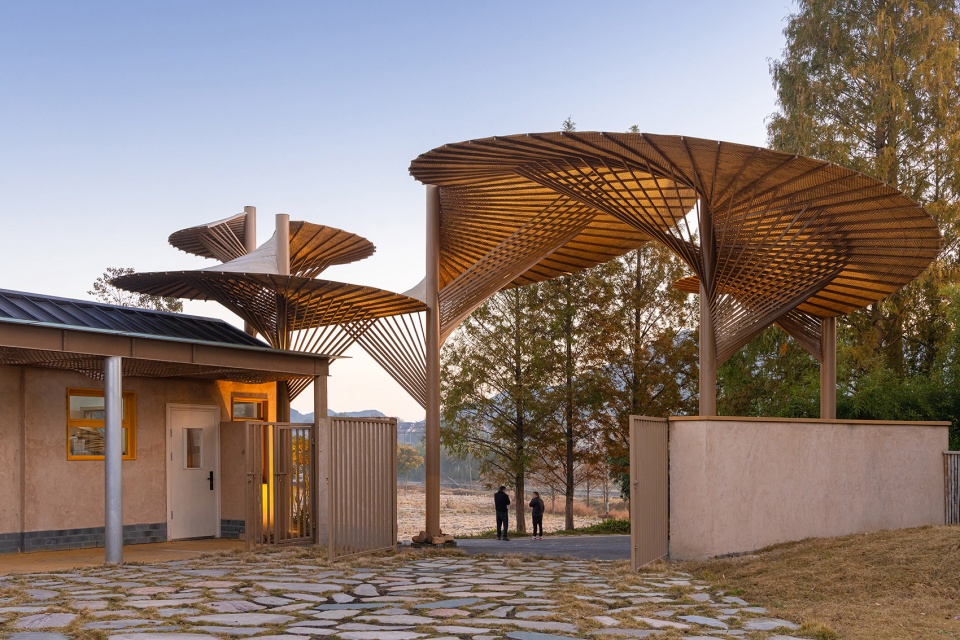 qingshan school by momentum