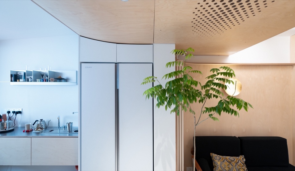 arcX studio