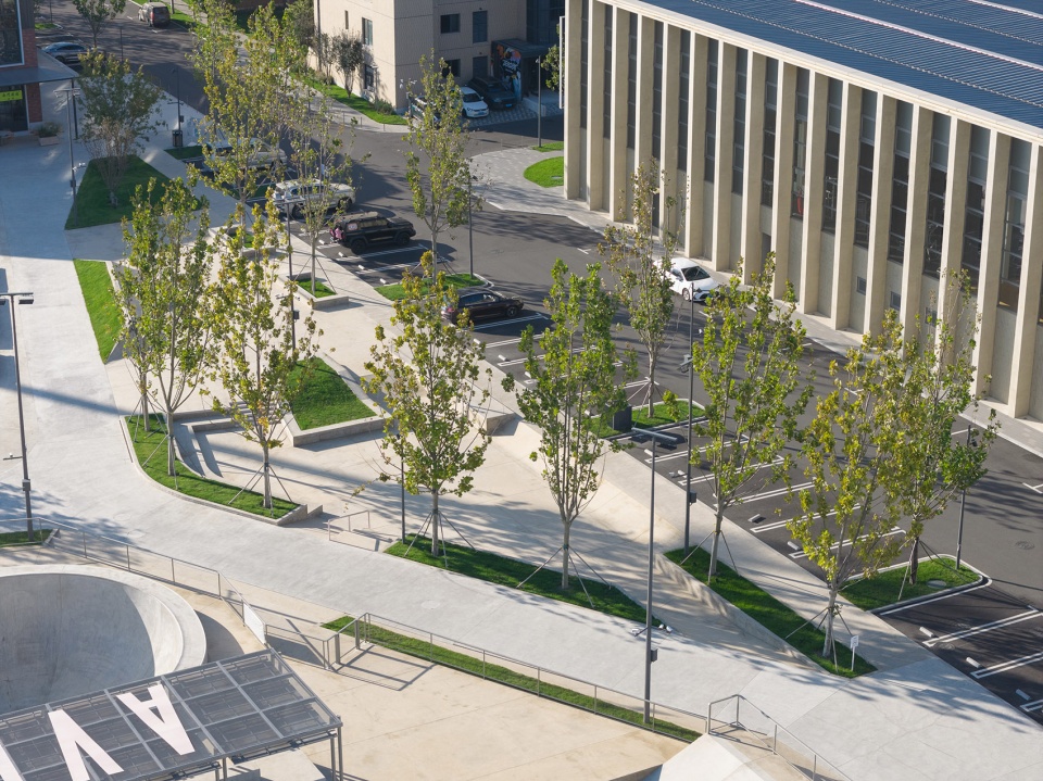 AVENUE SON SKATEPARK NORTH COAST by Various Associates
