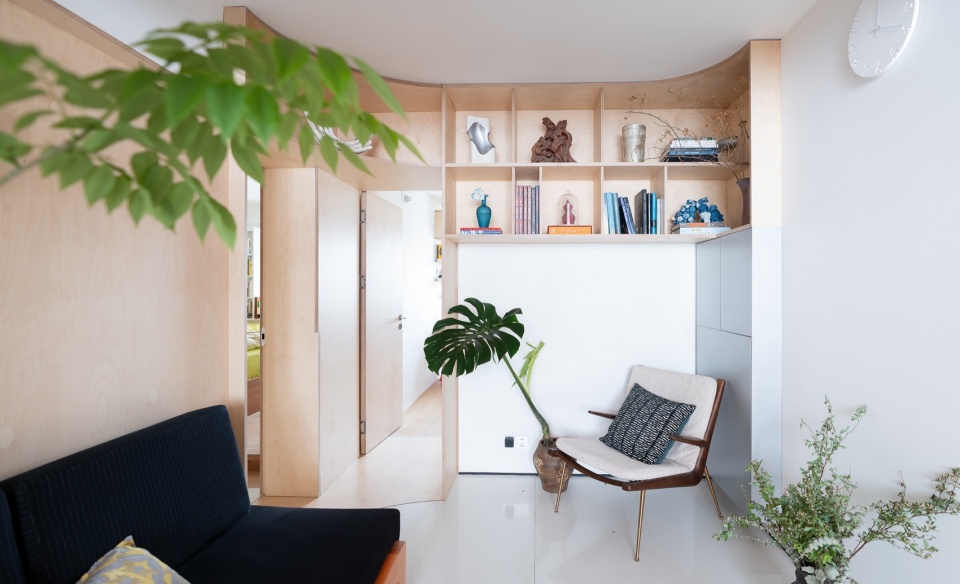 arcX studio
