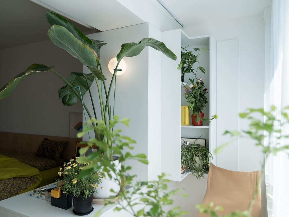 arcX studio