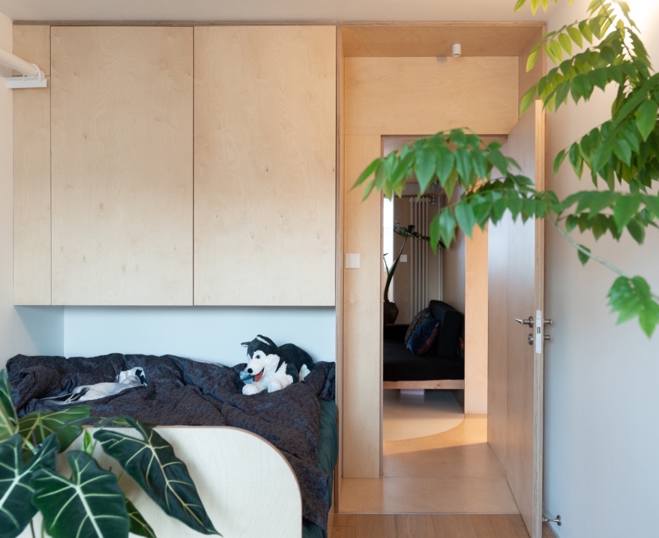 arcX studio