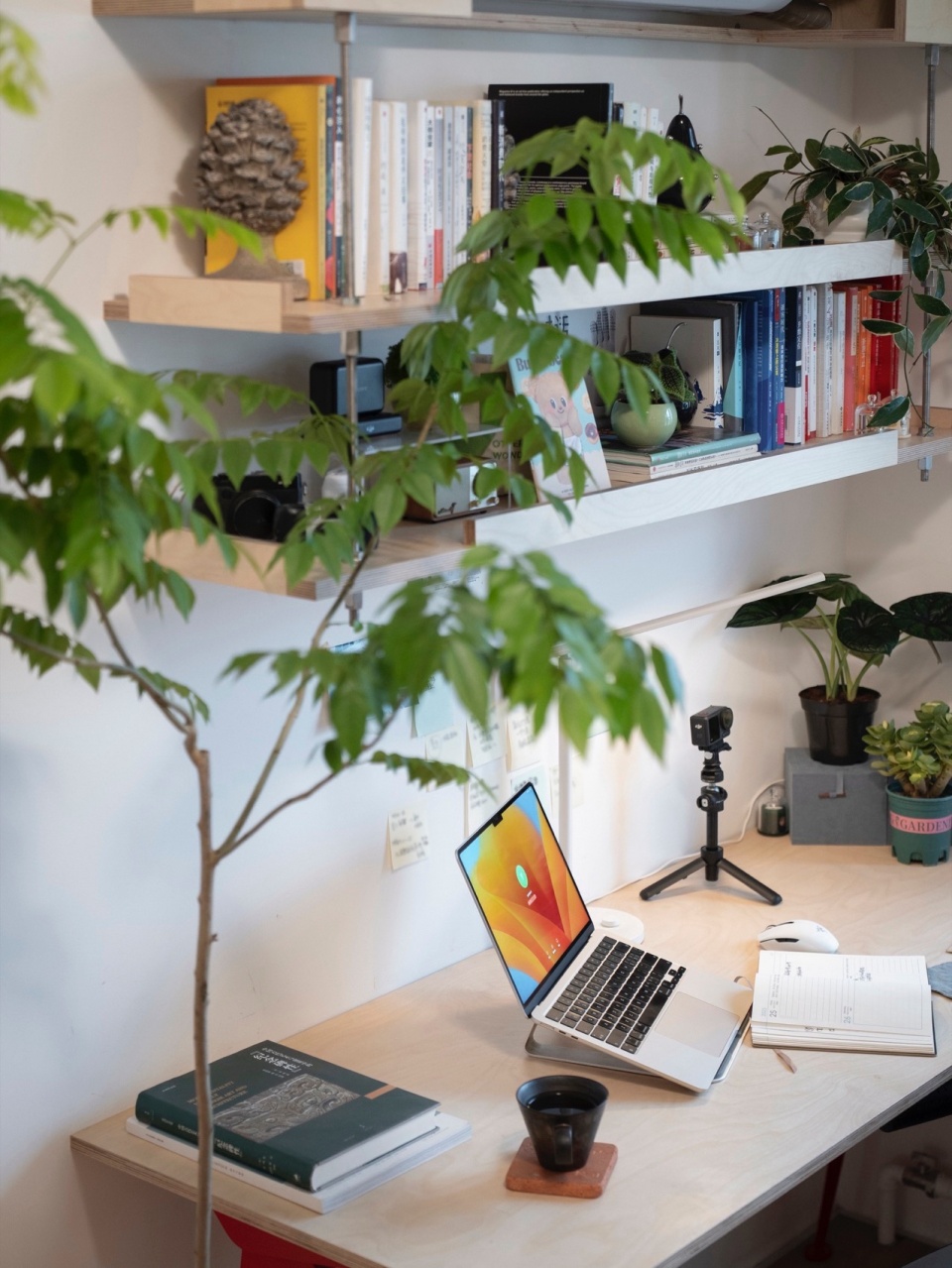 arcX studio