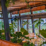 棚朋儿餐厅，四川 / UN-GROUP未集建筑