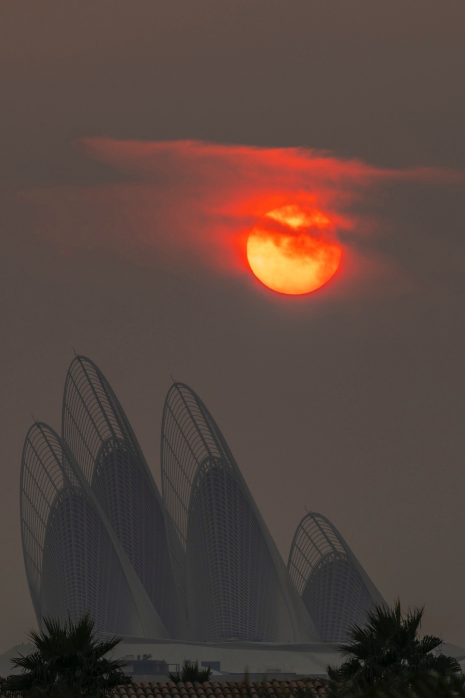 zayed national museum by foster partners