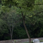 小溪塔森林公园，湖北 / HID翰地景观
