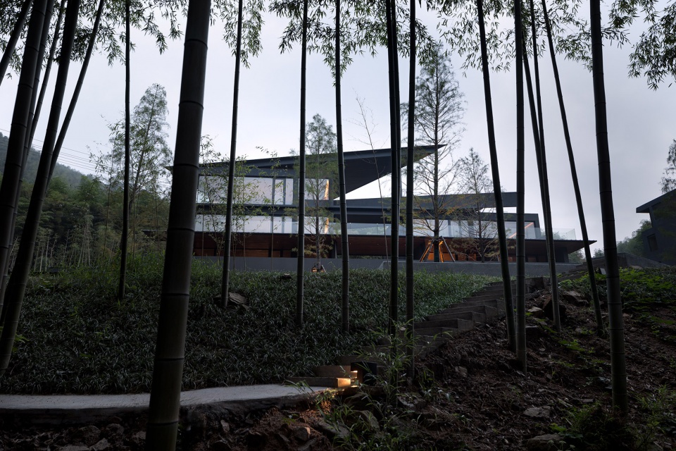 Come Wild Mountain Bamboo by DEPARTURE DESIGN STUDIO qo1