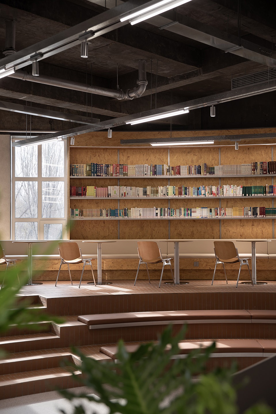 Daqing Experimental Middle School Campus transformation by Slow Coral Design