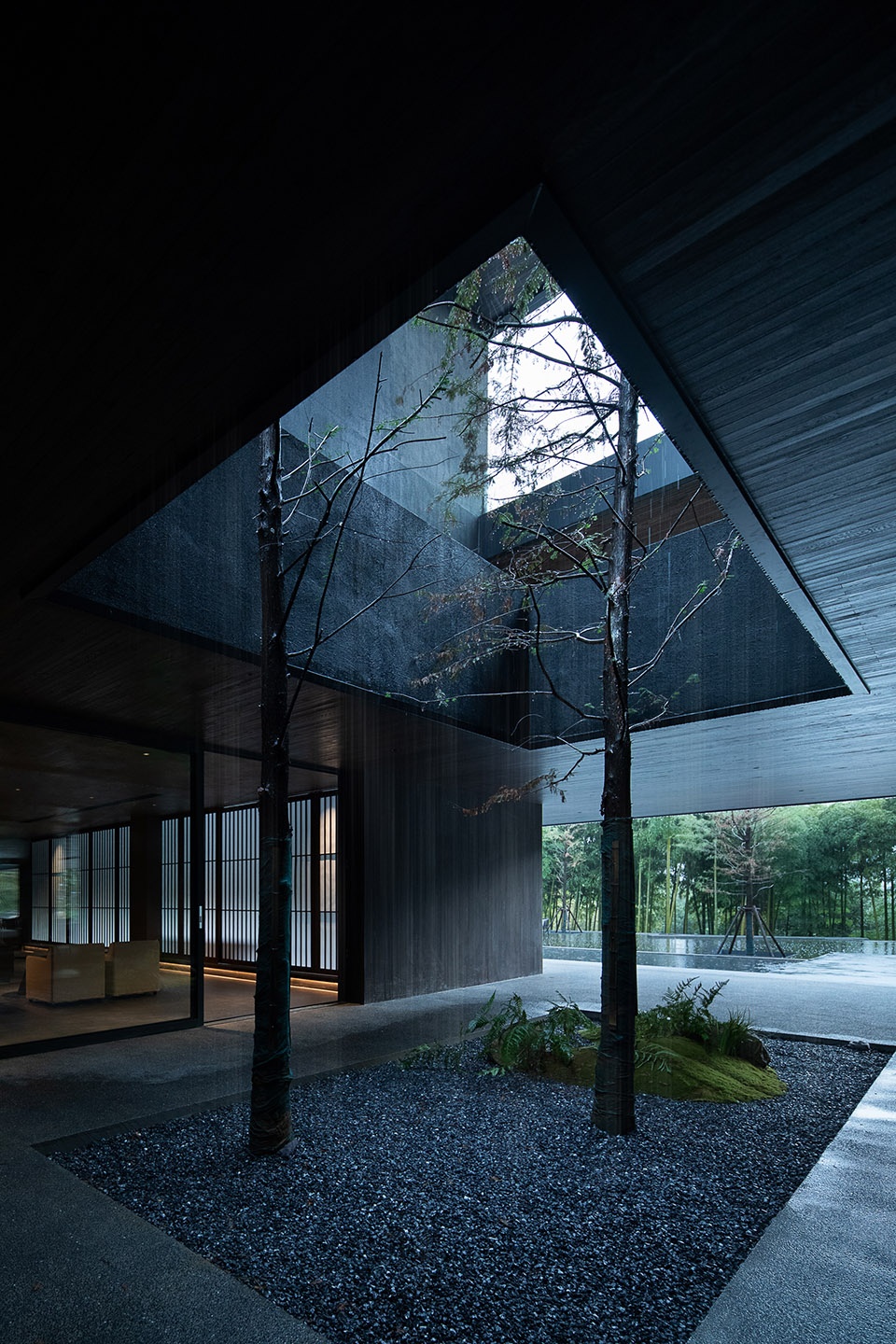 Come Wild Mountain Bamboo by DEPARTURE DESIGN STUDIO fwe
