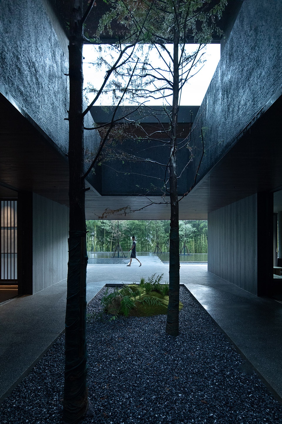 Come Wild Mountain Bamboo by DEPARTURE DESIGN STUDIO phx
