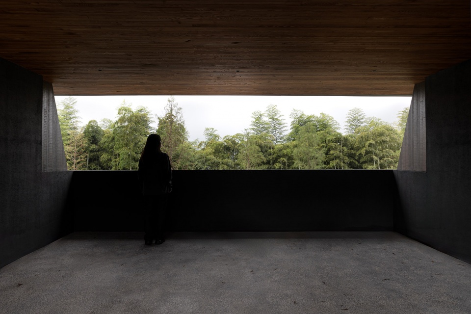 Come Wild Mountain Bamboo by DEPARTURE DESIGN STUDIO orh
