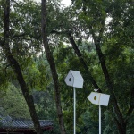 小溪塔森林公园，湖北 / HID翰地景观