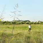 地平线展馆 & 百米线性展馆 / Eletres Studio