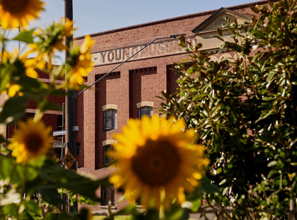 younghusband woolstore by woods bagot