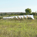 地平线展馆 & 百米线性展馆 / Eletres Studio