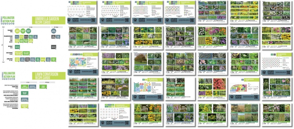 2025 asla analysis and planning award of honor somerville pollinator action plan offshoots inc