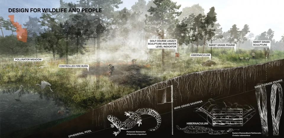 2025 asla ifla analysis and planning award of global impact testing ground adapting fairways to resilient barrier isle ecosystems design...