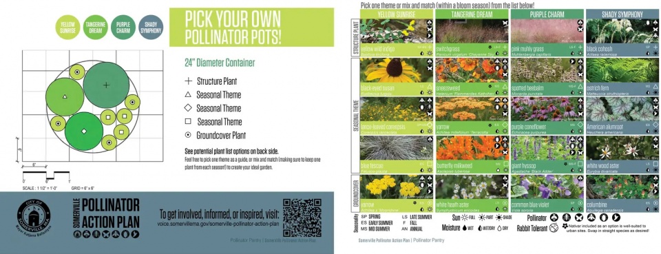 2025 asla analysis and planning award of honor somerville pollinator action plan offshoots inc