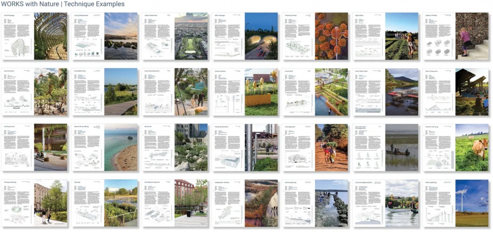 2025 asla communications award of honor works with nature climate positive design