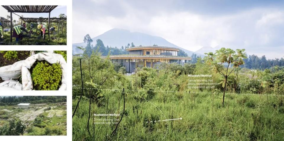 2025 asla general design award of honor the ellen degeneres campus for the dian fossey fund mass design group tenxten