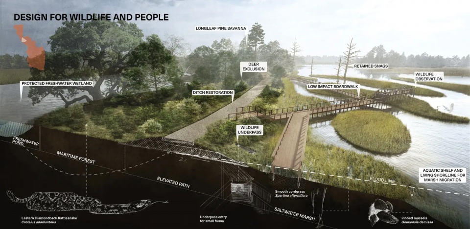 2025 asla ifla analysis and planning award of global impact testing ground adapting fairways to resilient barrier isle ecosystems design...