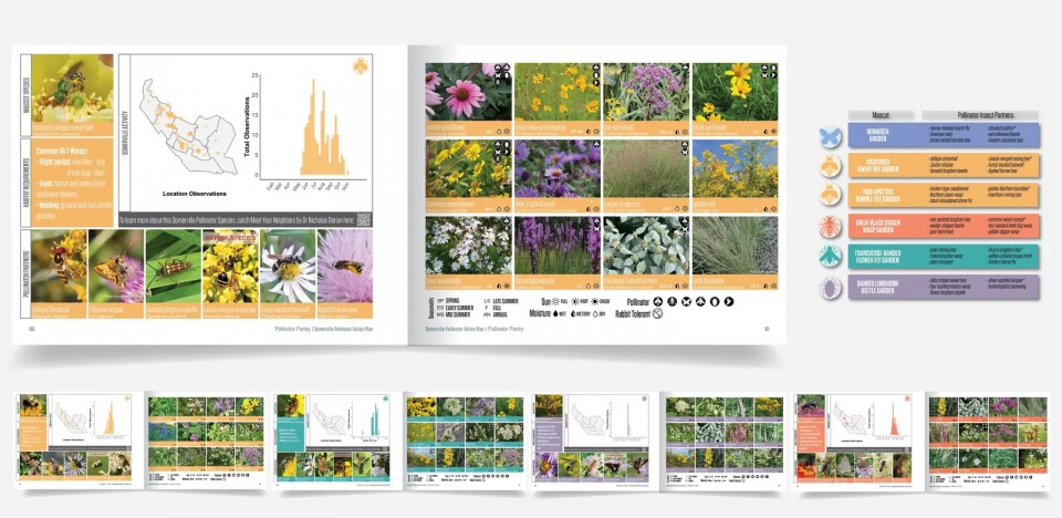2025 asla analysis and planning award of honor somerville pollinator action plan offshoots inc