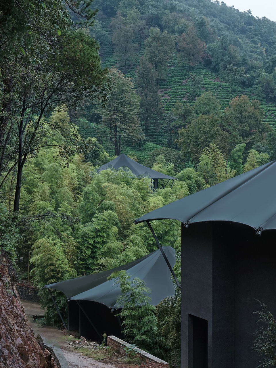 Luxury Hidden in the Wild Breathing with Nature by Slow Coral Design
