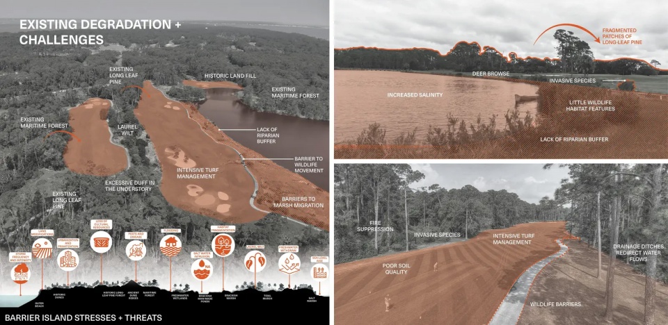 2025 asla ifla analysis and planning award of global impact testing ground adapting fairways to resilient barrier isle ecosystems design...