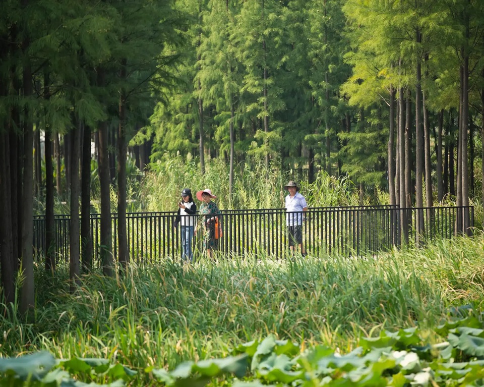2025 asla general design award of excellence fish tail park in nanchang city turenscape