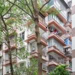 新河浦历史文化街区核心区品质提升项目，广东 / 竖梁社
