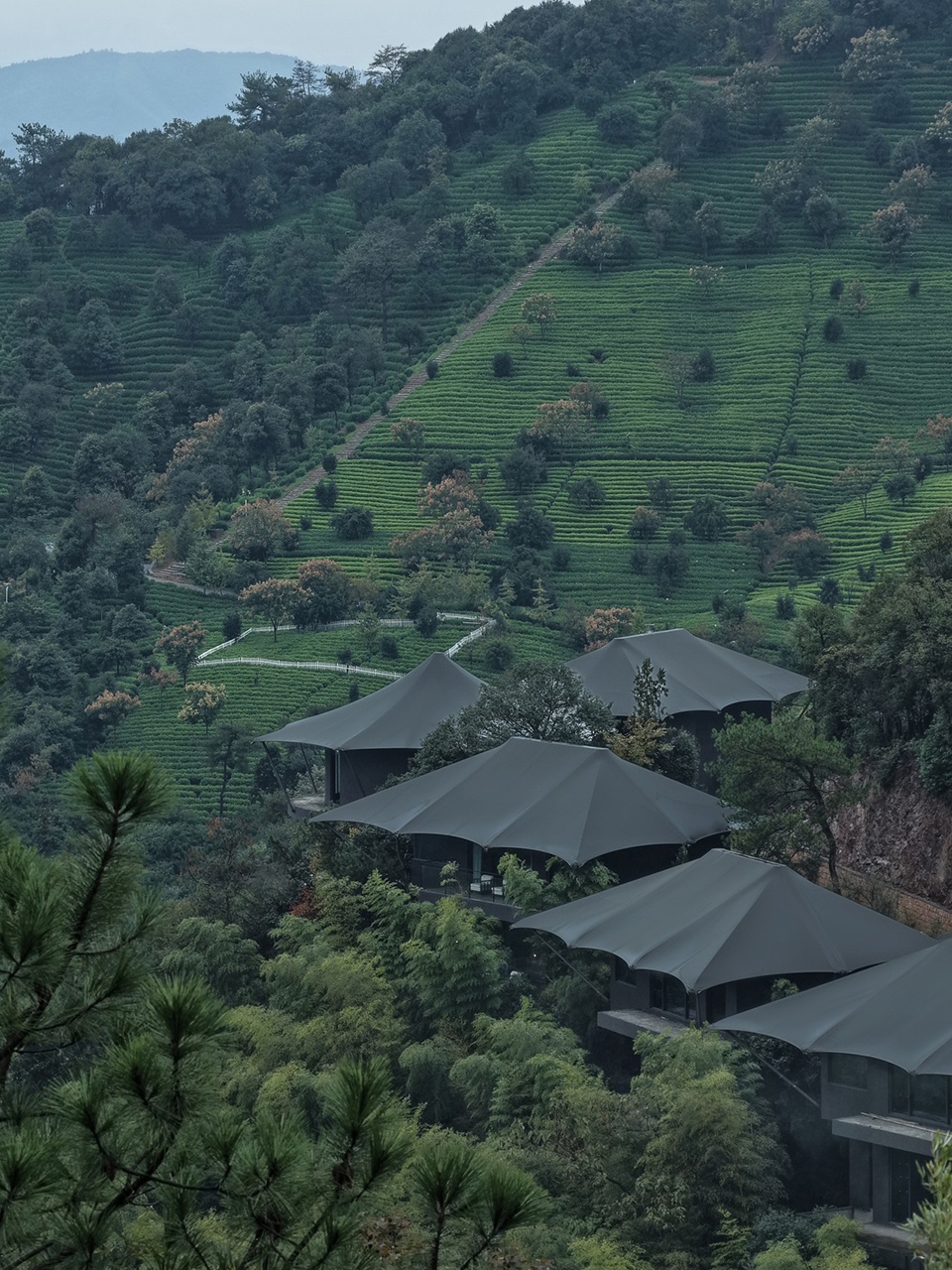 Luxury Hidden in the Wild Breathing with Nature by Slow Coral Design