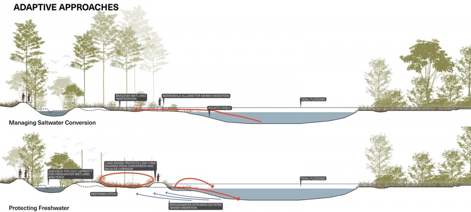 2025 asla ifla analysis and planning award of global impact testing ground adapting fairways to resilient barrier isle ecosystems design...